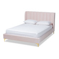 Baxton Studio Saverio Pink Velvet Queen Size Platform Bed with Gold-Tone Legs 156-9099